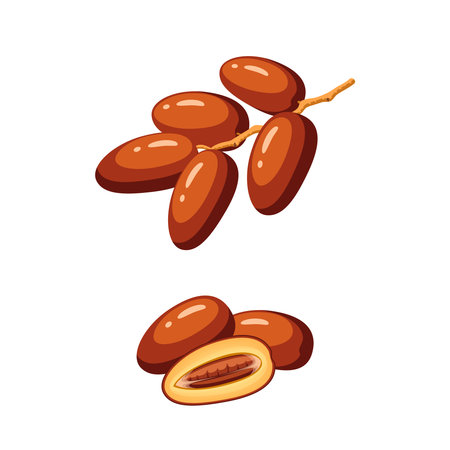 Branch of date fruits. Vector illustration cartoon flat icon isolated on white background.のイラスト素材