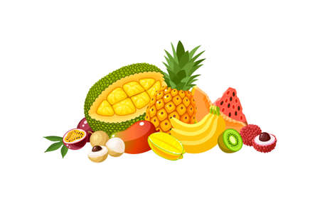 Design composition of tropical fruits: jackfruit, pineapple, banana, watermelon and many others. Vector illustration flat cartoon icon isolated on white background.のイラスト素材