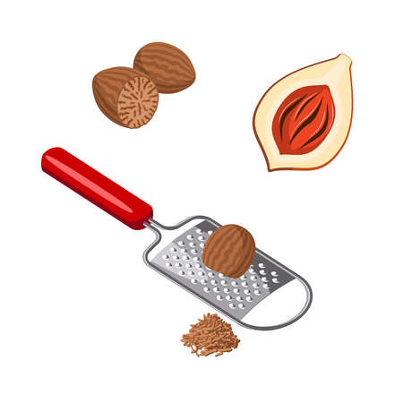 Nutmeg set - whole fruit, grating nut. Vector illustration of cartoon flat icon isolated on white background.のイラスト素材