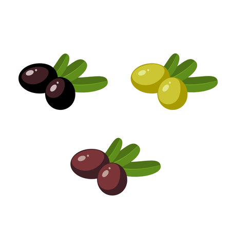 Olives. Vector illustration of cartoon flat icon set isolated on white background.のイラスト素材