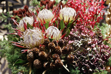 flower arrangement backgroundの写真素材