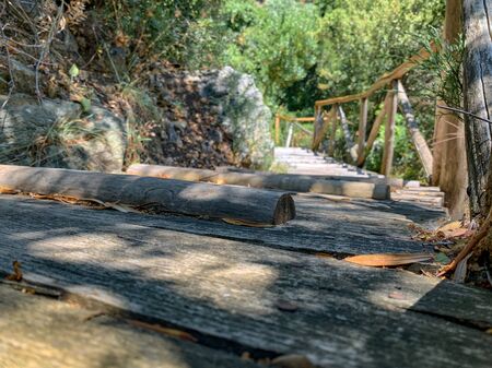 Wooden staircase in the wild forest of Mount Athosの写真素材