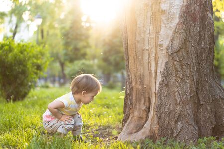 Childhood, nature, summer, parks and outdoors concept - portrait of cute blond-haired little boy in striped multi-colored T-shirt near trunk of an old tree in backlight of sunset in park. Copy space.の写真素材
