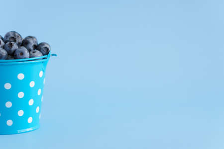 fruits and vegetables, vitamin, healthy food and drink, traditional medicine, gastronomy concept - layout purple blueberry berries in blue bucket with white dots on bright blue background copy spaceの写真素材