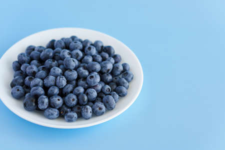 fruit and vegetables, vitamin, healthy food and drink, traditional medicine, gastronomy concept - layout of fresh purple blueberry berries in white plate or vessel on bright blue background copy spaceの写真素材