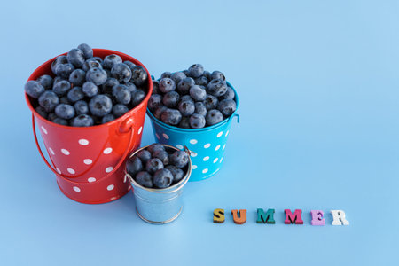 fruit and vegetable, vitamin, healthy food and drink, gastronomy concept - layout blueberry berries...