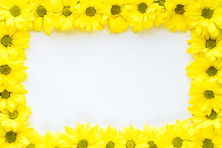 layout of bright yellow natural flowers on white background. Floral frame made of daisies. pattern of fresh plants on solid colored background. spring, summer, women day, mothers Day, ecology conceptの写真素材