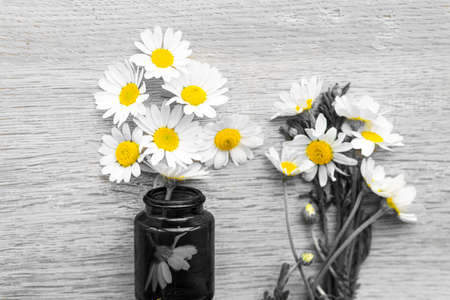 Moisturizing cream based of natural herbal ingredients. Chamomile cream in small jar yellow chamomile flowers on gray background top view copy space pattern. medicine and health, ecology, hope conceptの写真素材