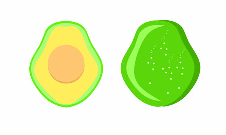 Vector illustration, avocado fruit, isolated on a white background, suitable for labels of vitamin packaging products, which are good for the body.のイラスト素材
