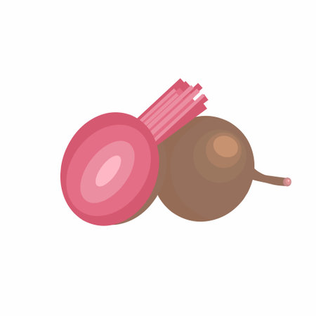 Beets, fresh beet root. beetroot illustration. design flats.のイラスト素材