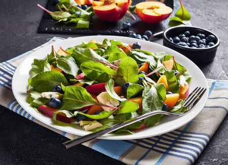 salad with fresh chard leaves, peach, blueberries, pieces of blue mold cheese served on a white plate on a concrete table with ingredients, horizontal view from above, close-upの写真素材