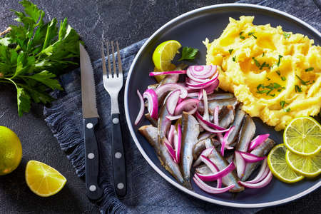 sprat red onion and pickles salad with hot potato mash on a plate on a concrete table, horizontal view from above, close-upの写真素材