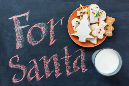 Milk and cookies for Santa Clausの写真素材