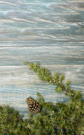 fir branch on stained oak table from above, vintage tonedの写真素材