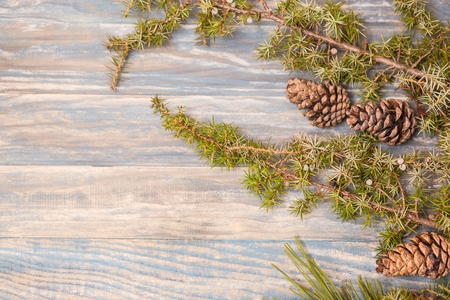 fir branch on stained oak table from above, vintage tonedの写真素材