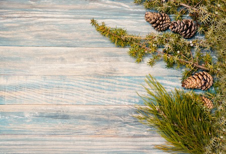 fir branch on stained oak table from above, vintage tonedの写真素材