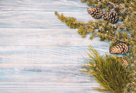 fir branch on stained oak table from above, vintage tonedの写真素材
