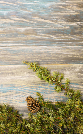 fir branch on stained oak table from above, vintage tonedの写真素材