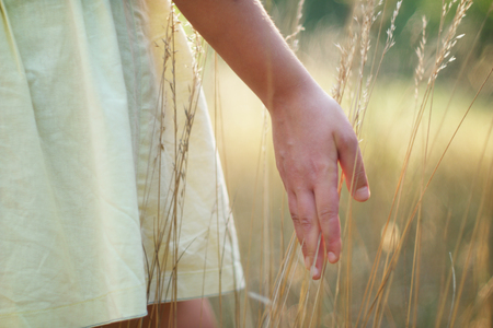 Hand in a field, soft focus , selective focusの写真素材