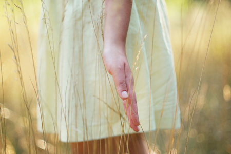 Hand in a field, soft focus , selective focusの写真素材