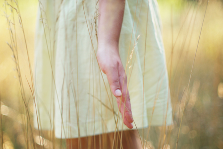 Hand in a field, soft focus , selective focusの写真素材