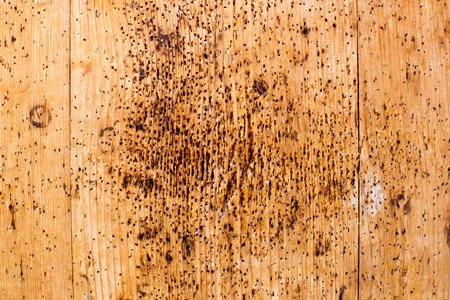 Old Shabby Wooden Planks with cracked color Paint, backgroundの写真素材