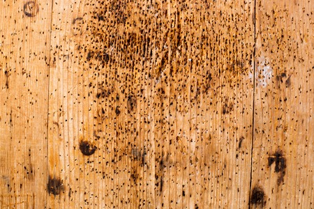 Old Shabby Wooden Planks with cracked color Paint, backgroundの写真素材
