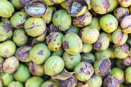 Walnut background, scattered pile of walnutsの写真素材