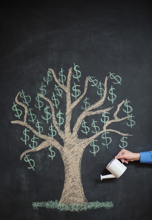 dollars from money tree on blackboardの写真素材