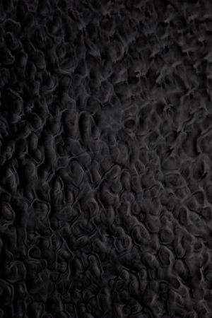 Glass texture back illuminated, macro of abstract glass textureの写真素材