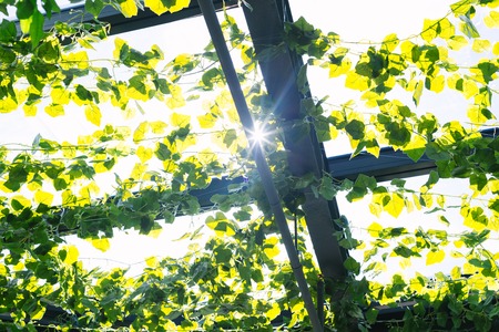 Eco officeの写真素材