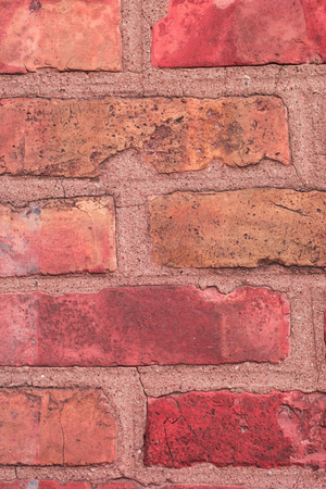 Graffiti brick wall, colorful backgroundの写真素材