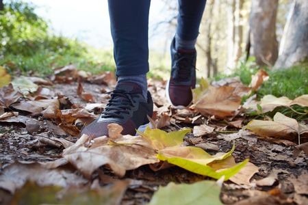 close up of feet of a runner running in autumn leaves training for marathon and fitness healthy lifestyleの写真素材