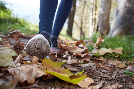 close up of feet of a runner running in autumn leaves training for marathon and fitness healthy lifestyleの写真素材