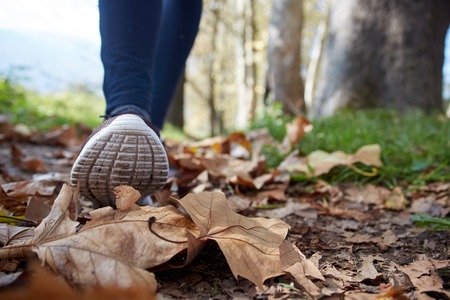 close up of feet of a runner running in autumn leaves training for marathon and fitness healthy lifestyleの写真素材
