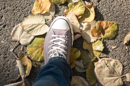 Top View of Man Standing in dry autumn leaves, entering the fall season.