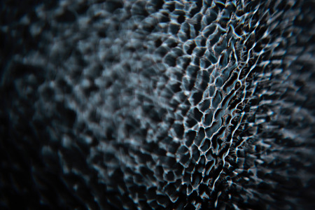 Glass texture back illuminatedの写真素材