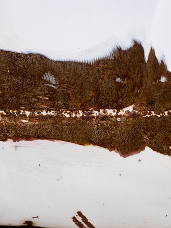 Iron surface rustの写真素材