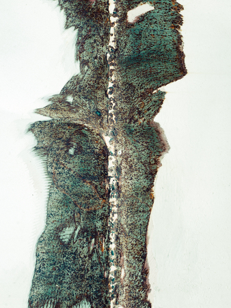 Iron surface rustの写真素材