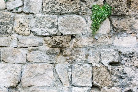 pocketed volcanic tuff rock surface background imageの写真素材