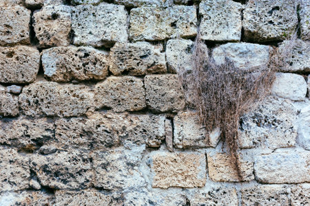 pocketed volcanic tuff rock surface background imageの写真素材