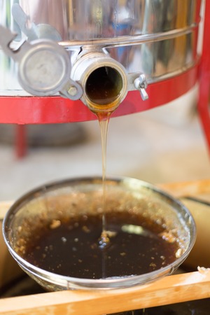 Honey from the hive making in honeycombs  - close up of honey making processの写真素材