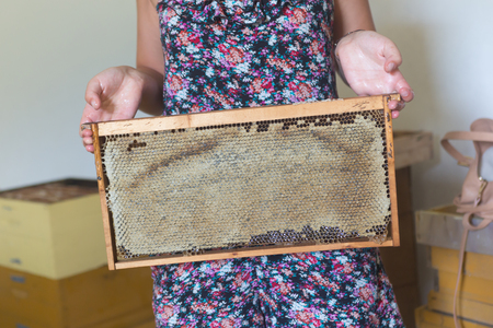 woman holding frame with honeycombの写真素材