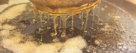 Honey from the hive making in honeycombs  - close up of honey making process