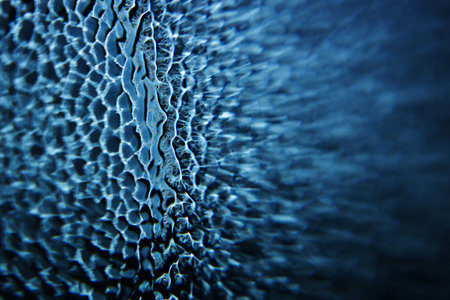 Glass texture back illuminated