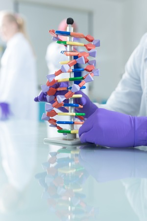 Woman scientist holding DNA moleculeの写真素材