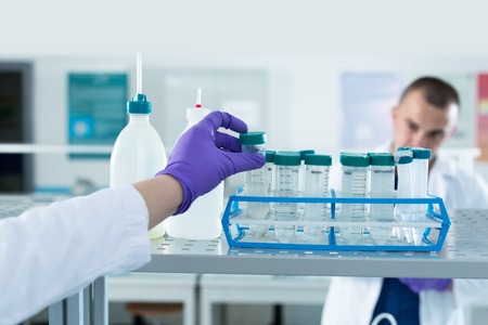 Experiments in the laboratoryの写真素材