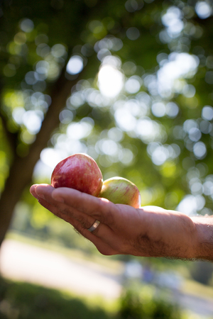 Portrait of young blonde woman with striped shirt on a orange backgroundの写真素材