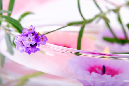 Elements of lavender SPA: fresh lavender and lavender candles.の写真素材