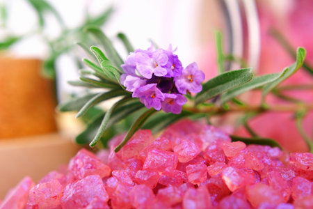 Bottle of lavender mineral salt with fresh lavender.の写真素材